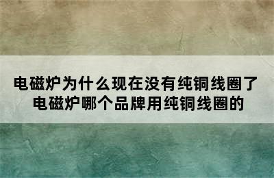 电磁炉为什么现在没有纯铜线圈了 电磁炉哪个品牌用纯铜线圈的